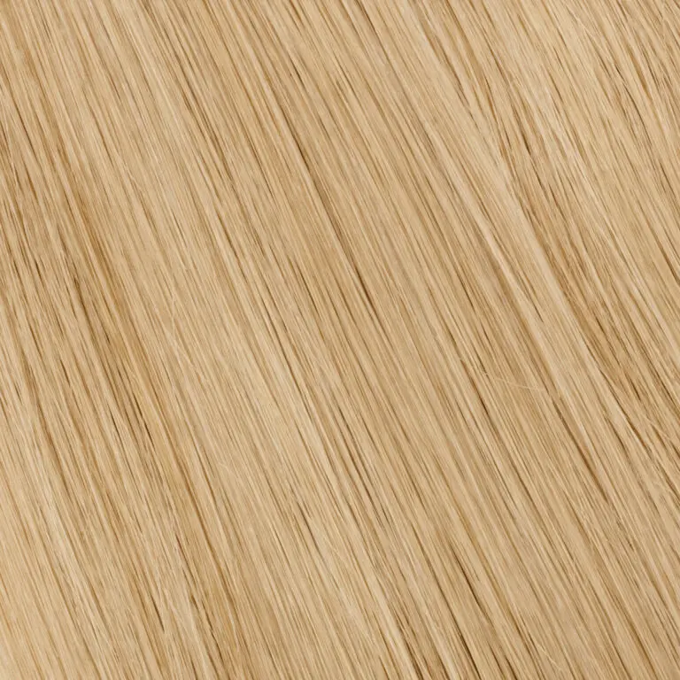 FR 24/613 Golden Blonde Lightest Blonde