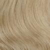 FR 22/613 Ash Blonde Lightest Blonde