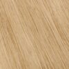 FR 24/613 Golden Blonde Lightest Blonde