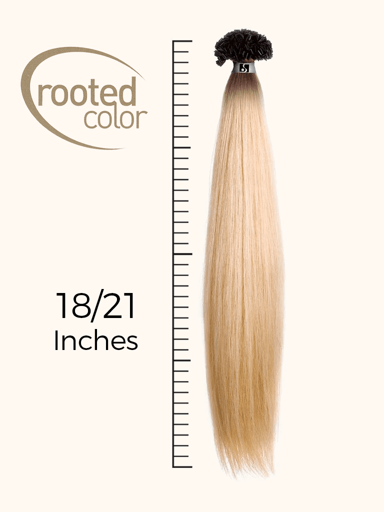 K-Tips: Rooted